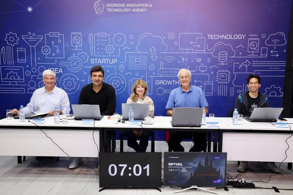 150 000 ლარიანი თანადაფინანსების გრანტების პროგრამის ფინალური ეტაპი დაიწყო - 14 რაუნდი